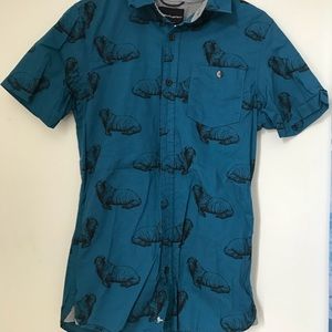 blue button down